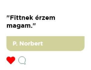 P. Norbert